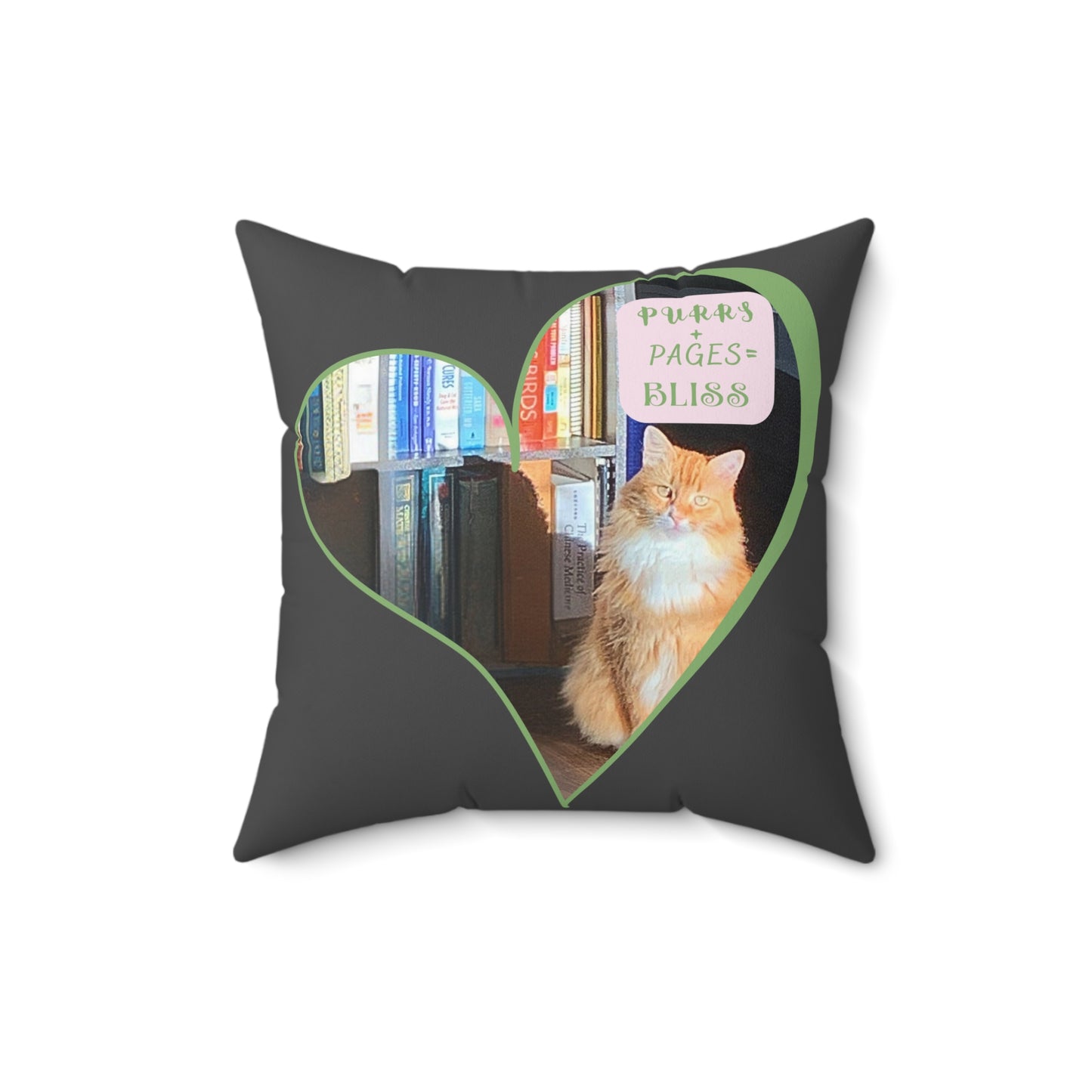Cat And Book Lover Throw Pillow — "Purrs and Pages Equals Bliss"