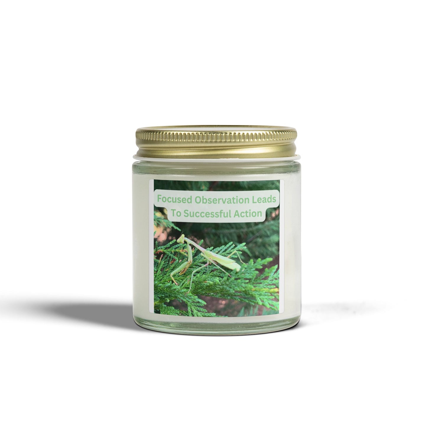 Candle Featuring A Mantis And Quote About Success