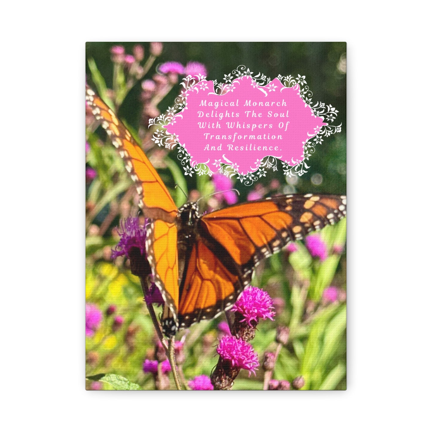 Canvas Print - Magical Monarch Butterfly