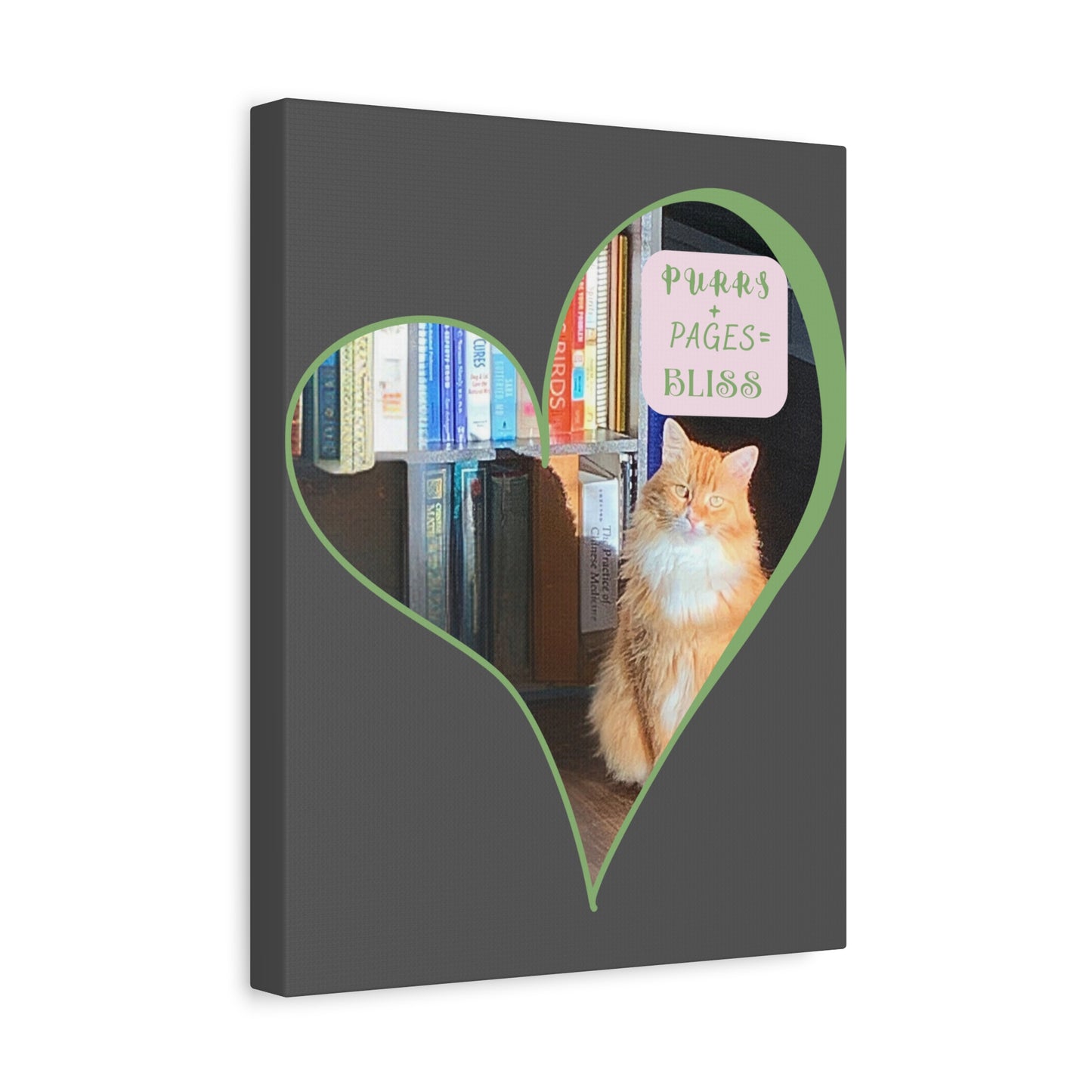 Cat Lover Canvas Art — "Purrs and Pages Equals Bliss"