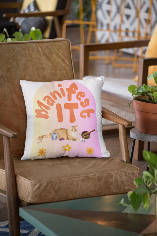 Square Pillow - Inspirational and Uplifting - Metaphysics and Cat Lovers